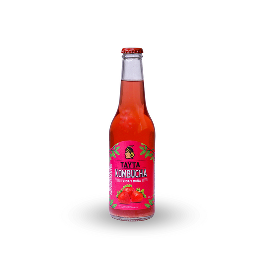 KOMBUCHA DE FRESA Y MUÑA TAYTA 355 ML