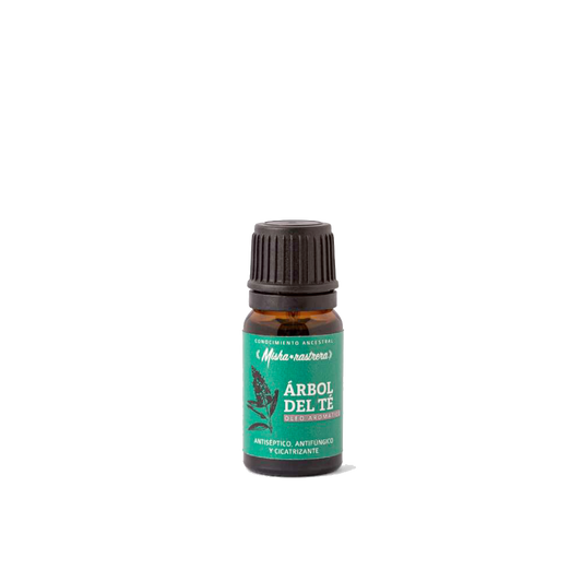 Misha Rastrera - Óleo Aromático de Arbol De Té 10ml